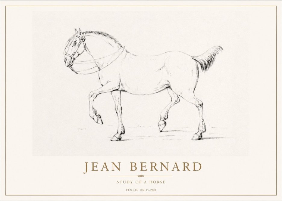 Jean Bernard Study of a Horse XVI No1 - Póster