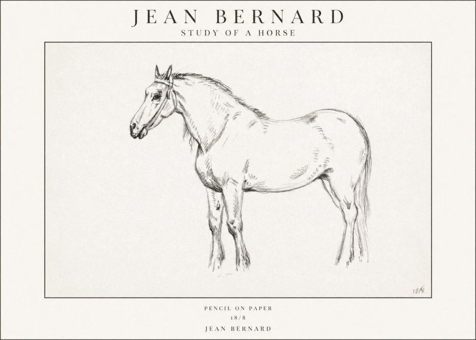 Jean Bernard Study of a Horse XVII No1 - Póster