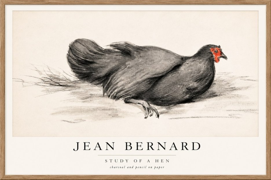 Jean Bernard Study of a Hen No1 - Póster