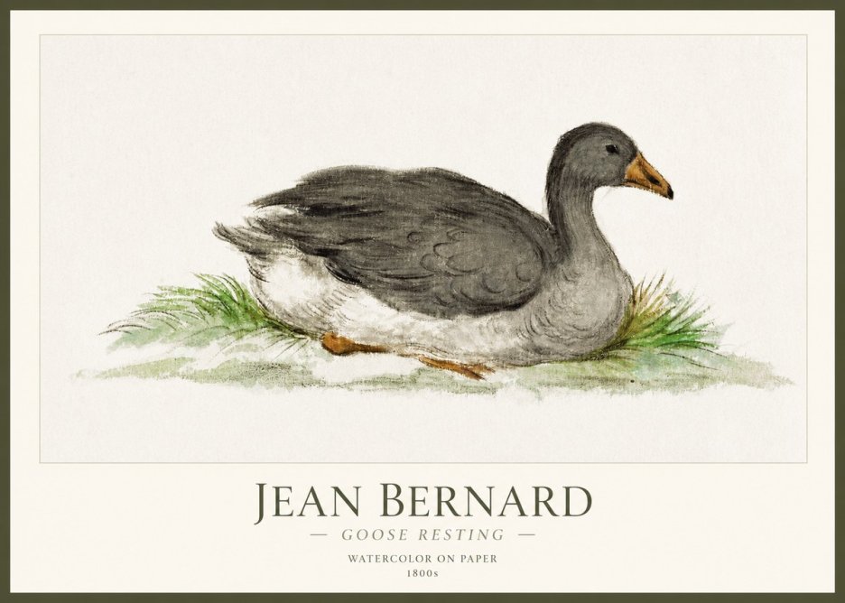Jean Bernard Goose Resting No1 - Póster