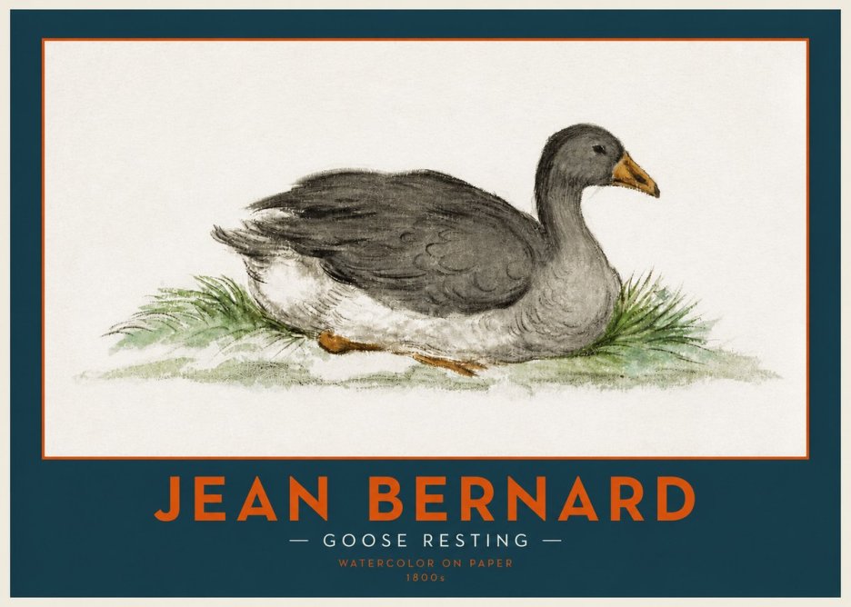 Jean Bernard Goose Resting No2 - Póster