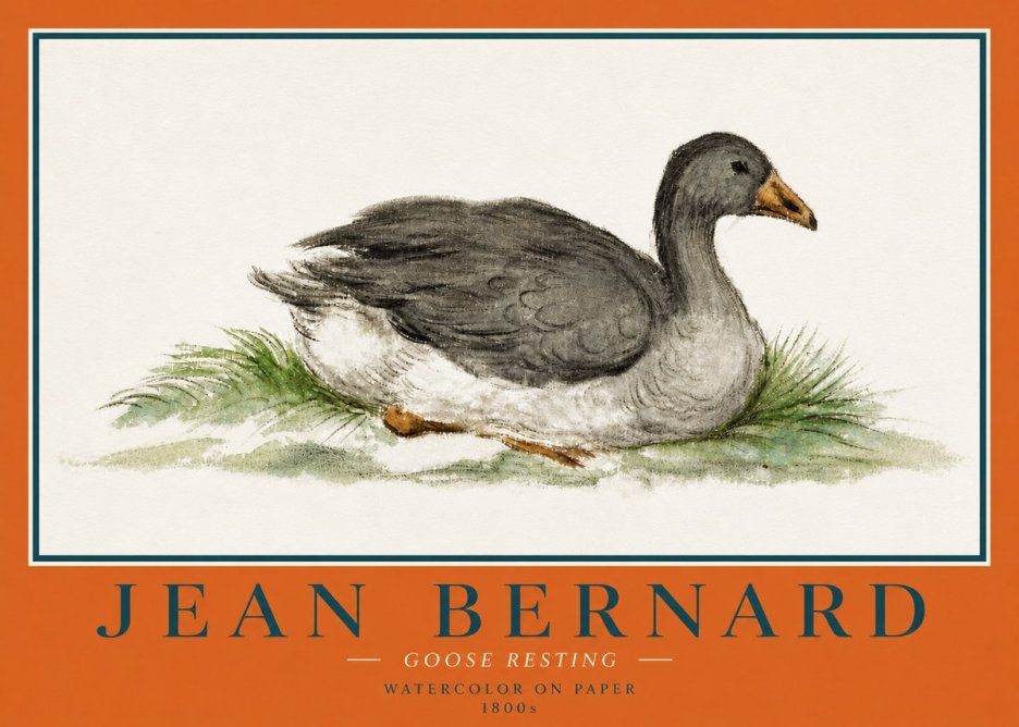 Jean Bernard Goose Resting No4 - Póster