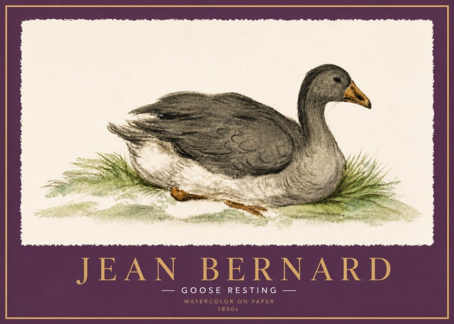 Jean Bernard Goose Resting No6 - Póster