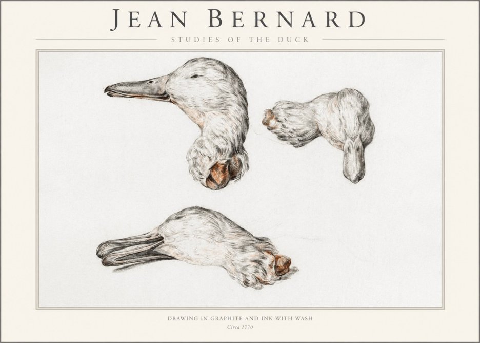 Jean Bernard Studies of the Duck No1 - Póster