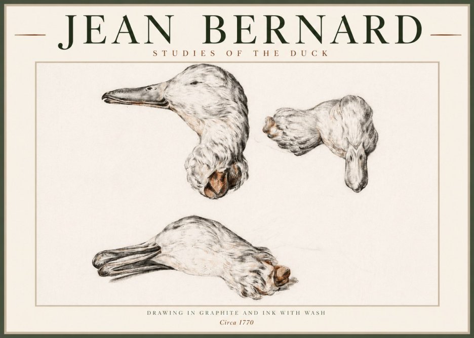 Jean Bernard Studies of the Duck No4 - Póster