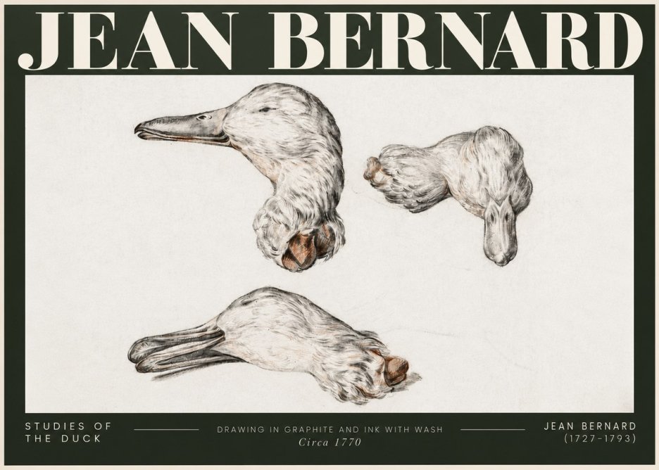 Jean Bernard Studies of the Duck No5 - Póster