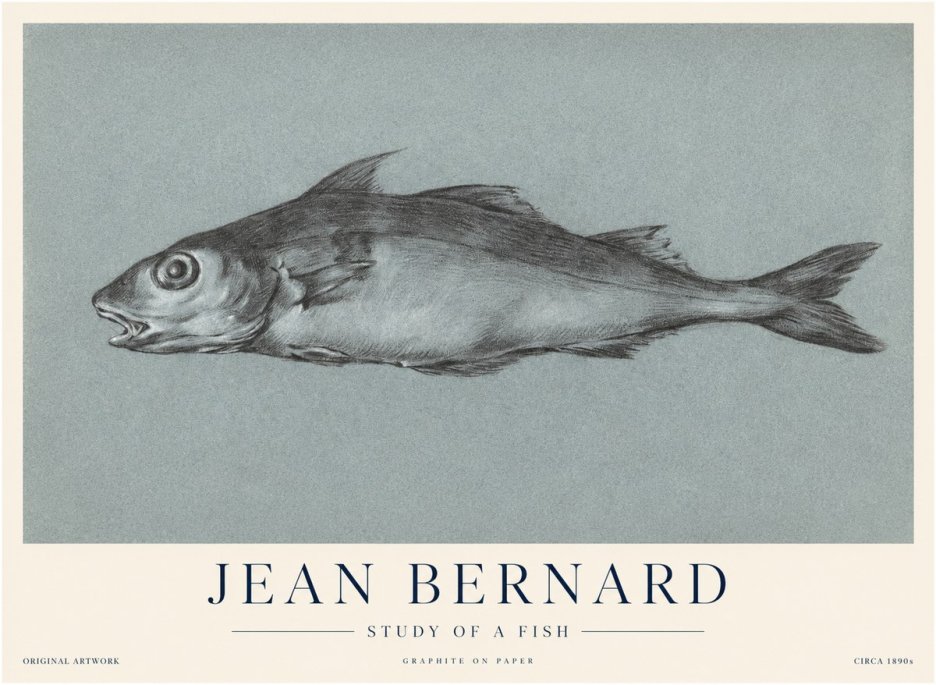Jean Bernard Fish Study I No4 - Póster