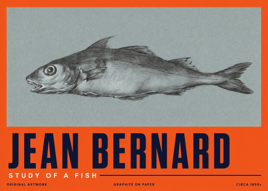 Jean Bernard Fish Study I No5 - Póster
