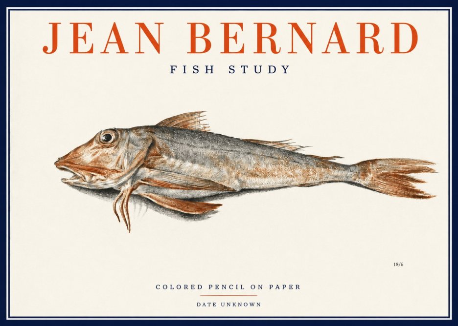 Jean Bernard Fish Study II No2 - Póster