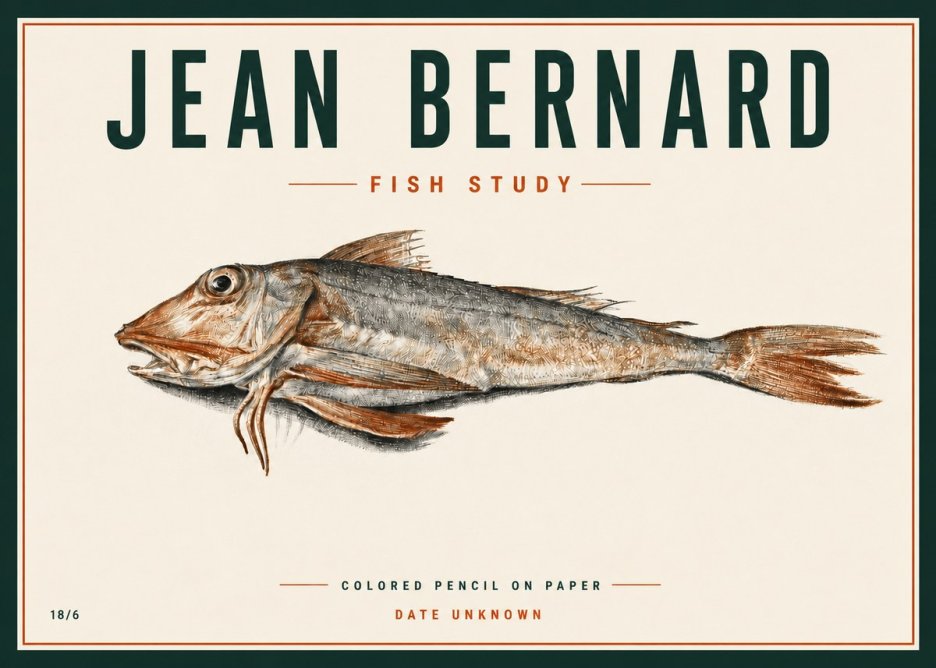 Jean Bernard Fish Study II No4 - Póster
