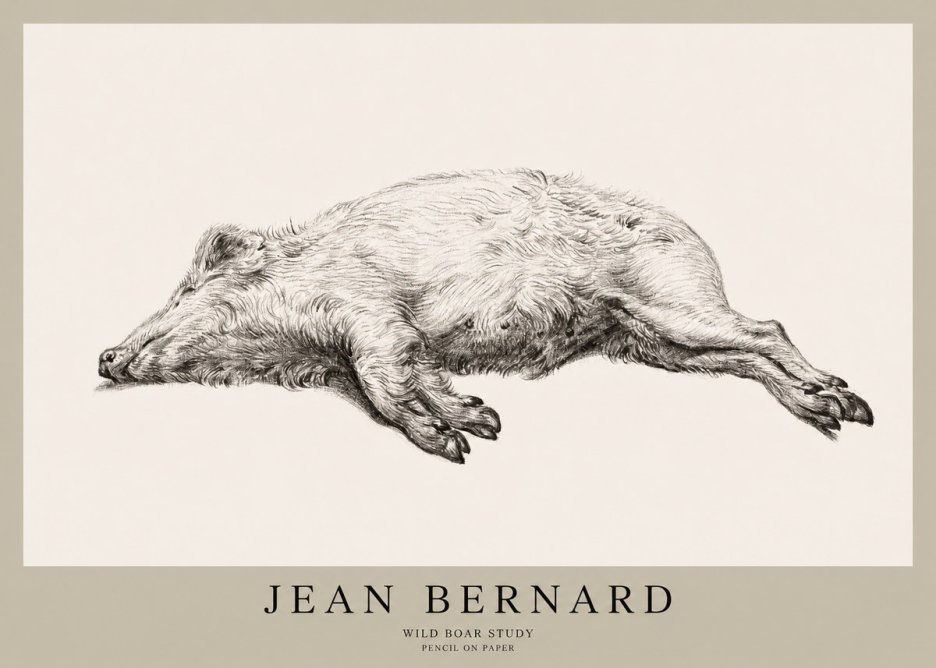 Jean Bernard Wild Boar Study No1 - Póster