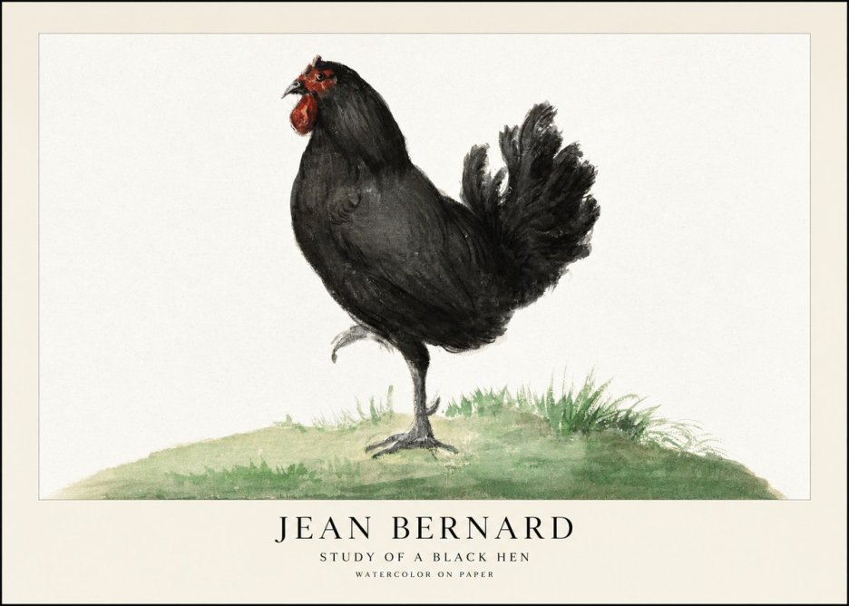 Jean Bernard Study of a Black Hen No1 - Póster