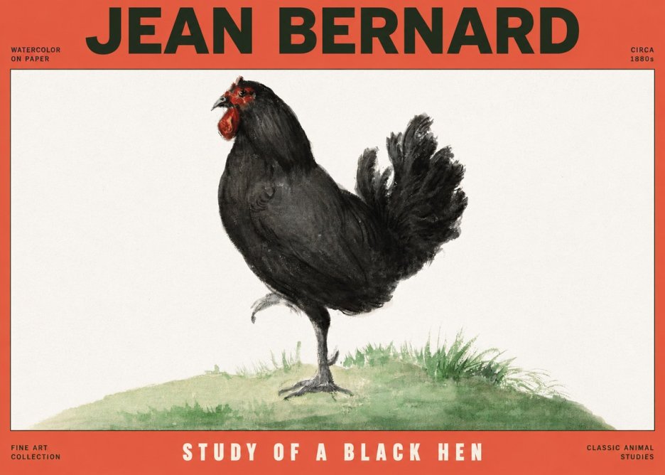 Jean Bernard Study of a Black Hen No2 - Póster