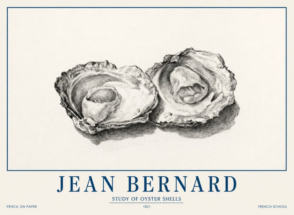 Jean Bernard Study of Oyster Shells No1 - Póster