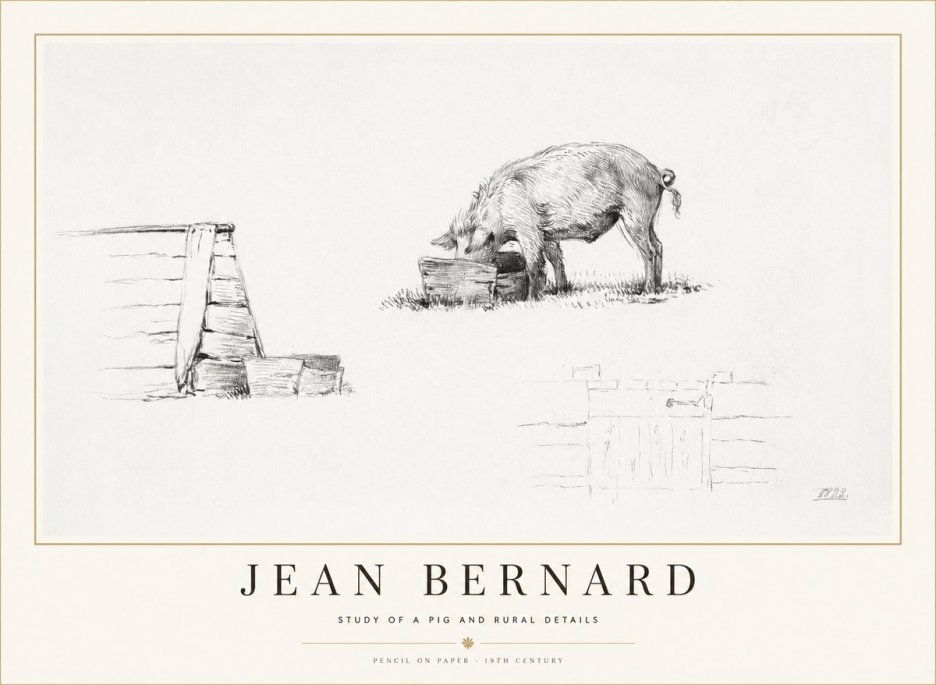 Jean Bernard Pig Study No2 - Póster