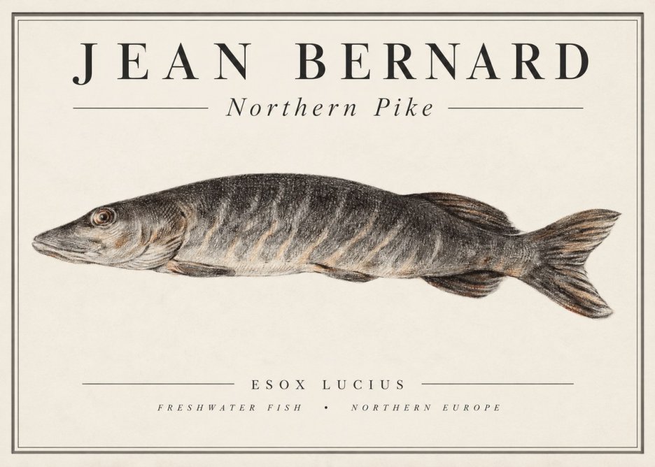 Jean Bernard Australian Lungfish No2 - Póster