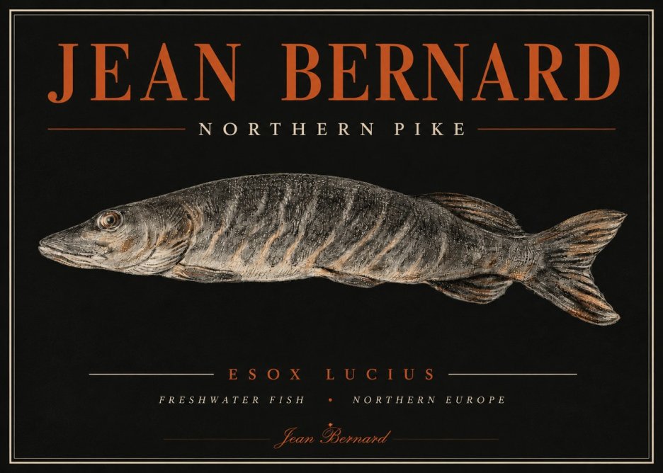 Jean Bernard Australian Lungfish No6 - Póster