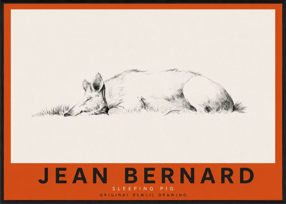 Jean Bernard Sleeping Pig II No3 - Póster