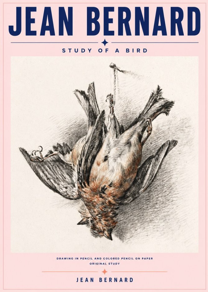 Jean Bernard Study of a Bird IV No6 - Póster