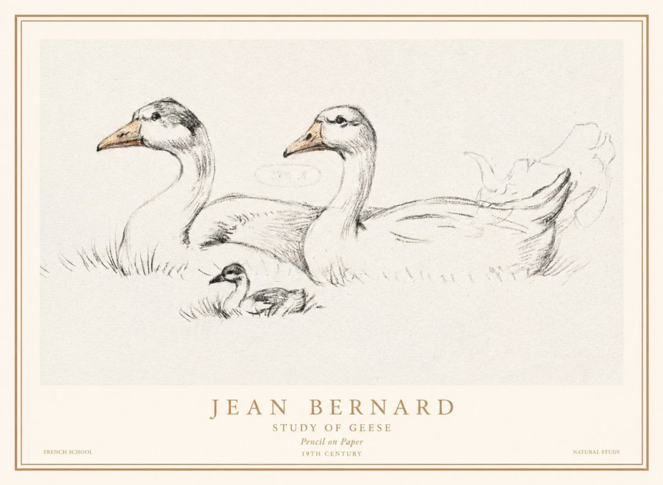 Jean Bernard Study of Geese No1 - Póster