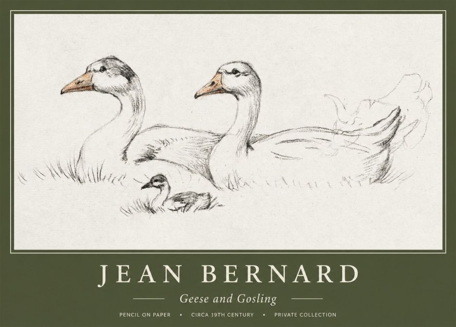 Jean Bernard Study of Geese No2 - Póster