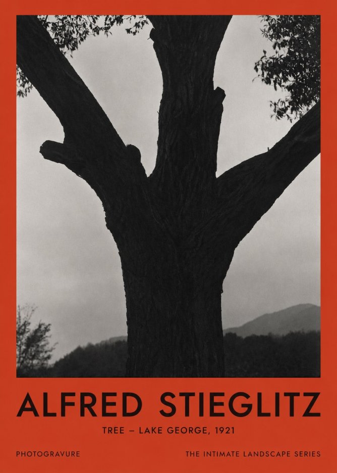Alfred Stieglitz Tree - Lake George, 1921 No2 - Póster