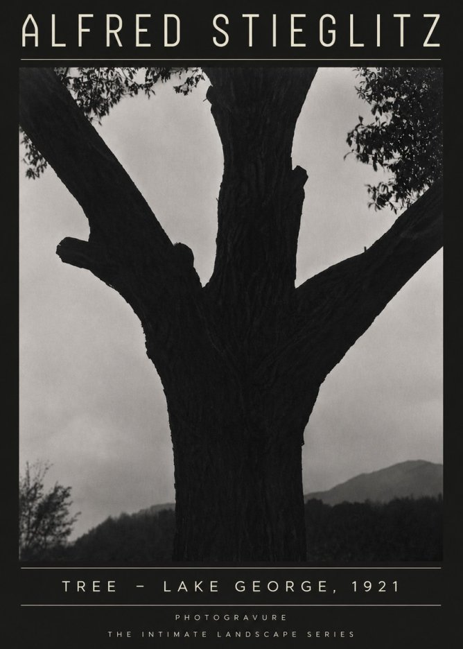 Alfred Stieglitz Tree - Lake George, 1921 No4 - Póster