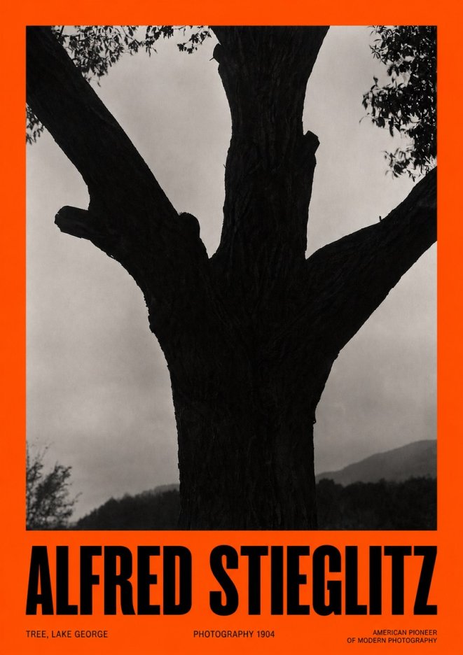 Alfred Stieglitz Tree - Lake George, 1921 No6 - Póster