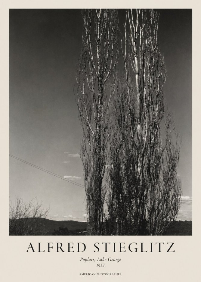 Alfred Stieglitz Trees - Lake George, 1921 No2 - Póster
