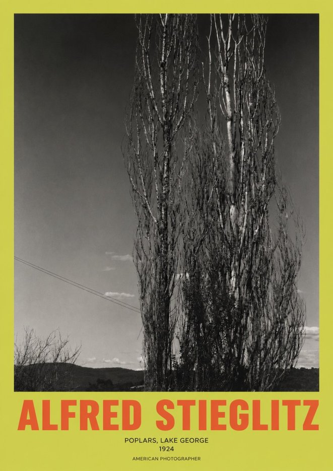 Alfred Stieglitz Trees - Lake George, 1921 No3 - Póster