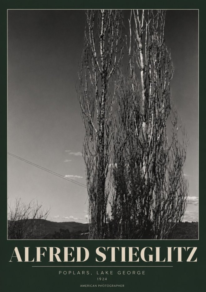 Alfred Stieglitz Trees - Lake George, 1921 No6 - Póster