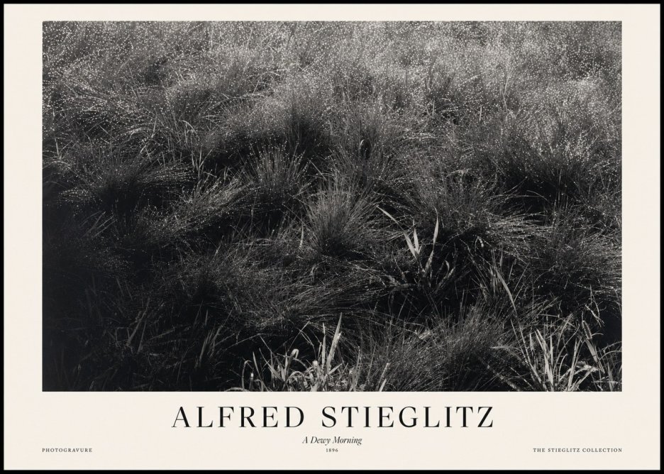 Alfred Stieglitz A Dewy Morning No1 - Póster