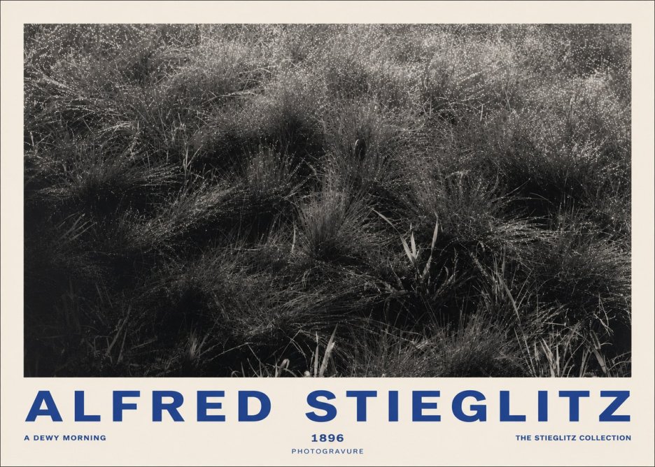 Alfred Stieglitz A Dewy Morning No2 - Póster