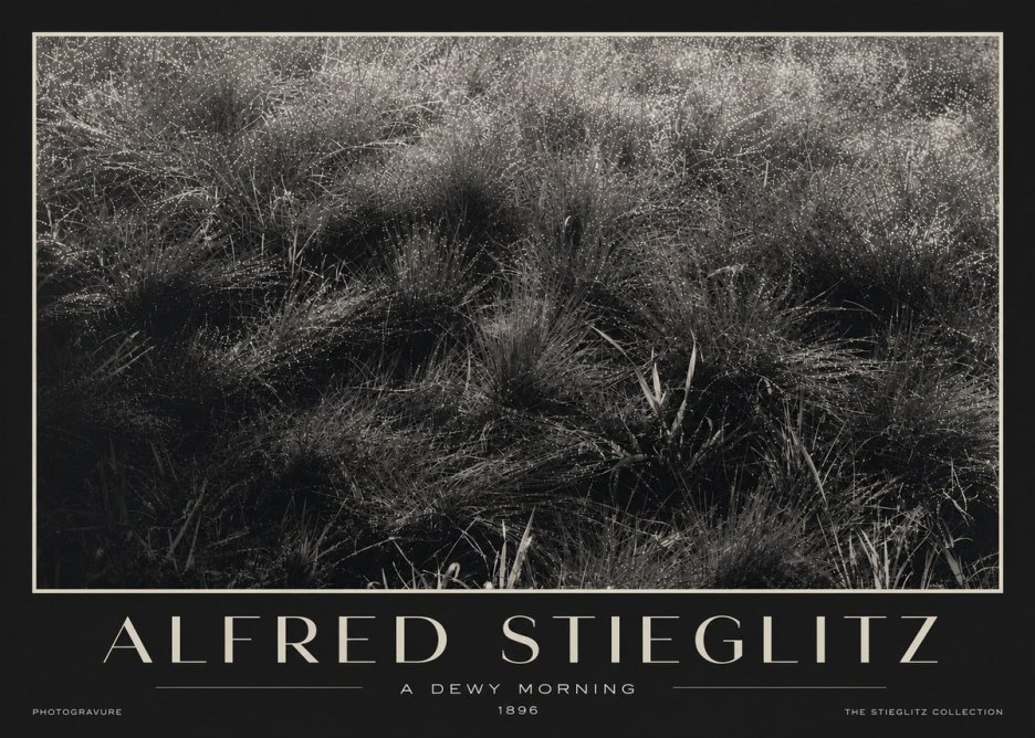 Alfred Stieglitz A Dewy Morning No3 - Póster