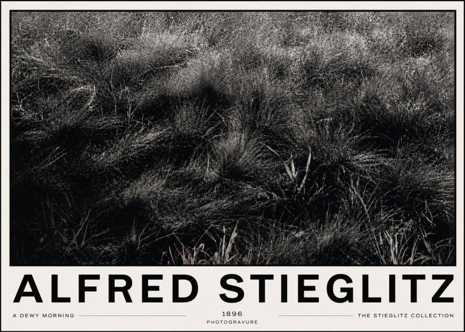 Alfred Stieglitz A Dewy Morning No6 - Póster