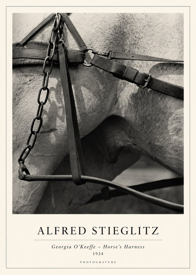 Alfred Stieglitz The Steerage I No2 - Póster