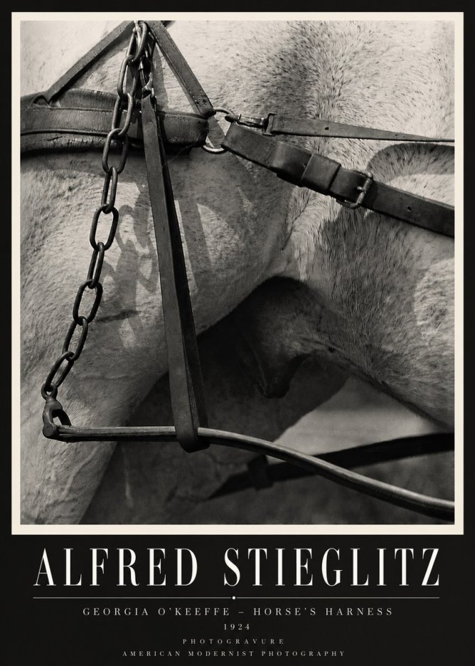 Alfred Stieglitz The Steerage I No4 - Póster