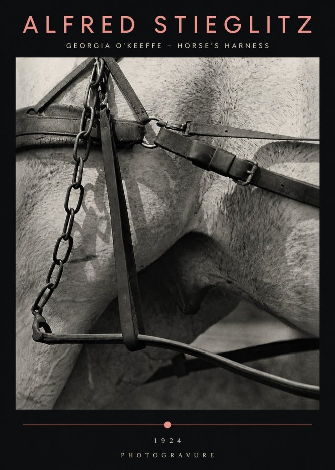 Alfred Stieglitz The Steerage I No5 - Póster