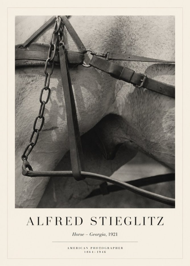 Alfred Stieglitz The Steerage I No6 - Póster