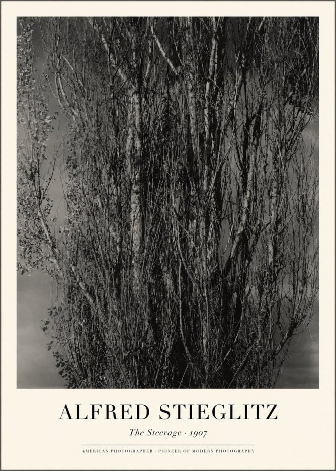 Alfred Stieglitz The Steerage II No1 - Póster