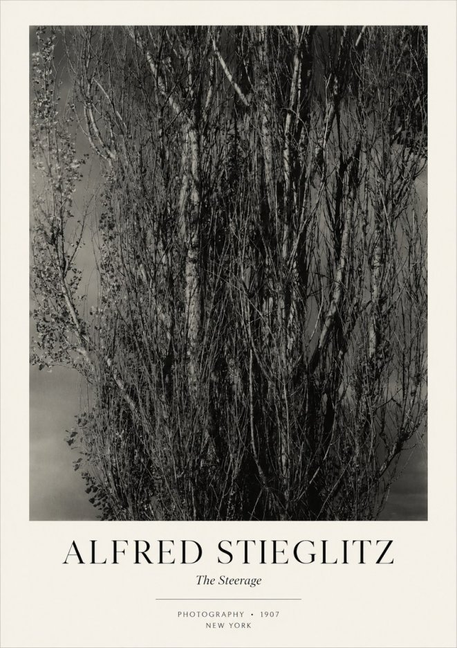 Alfred Stieglitz The Steerage II No3 - Póster
