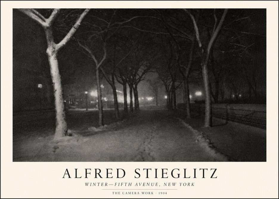 Alfred Stieglitz Winter—fifth Avenue, New York No1 - Póster