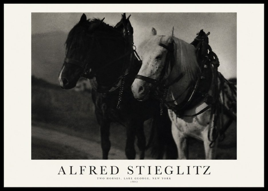 Alfred Stieglitz Two Horses, Lake George, New York No1 - Póster