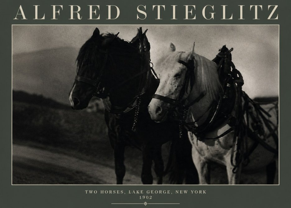 Alfred Stieglitz Two Horses, Lake George, New York No3 - Póster