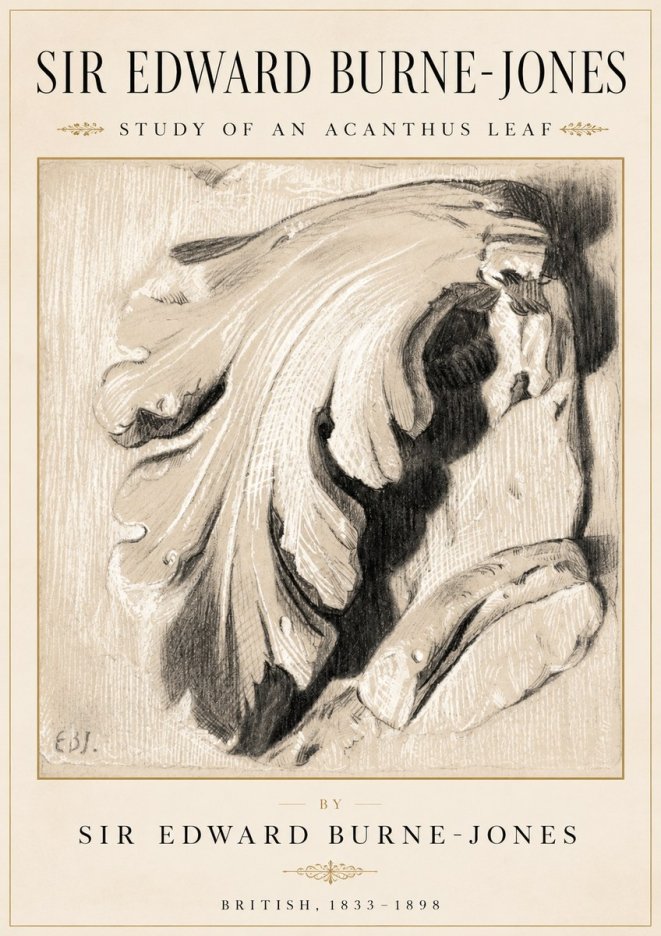 Edward Burne-Jones Study of an Acanthus Leaf No2 - Póster