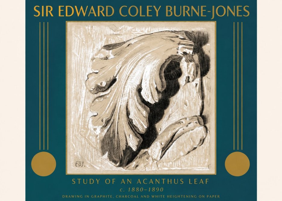 Edward Burne-Jones Study of an Acanthus Leaf No3 - Póster