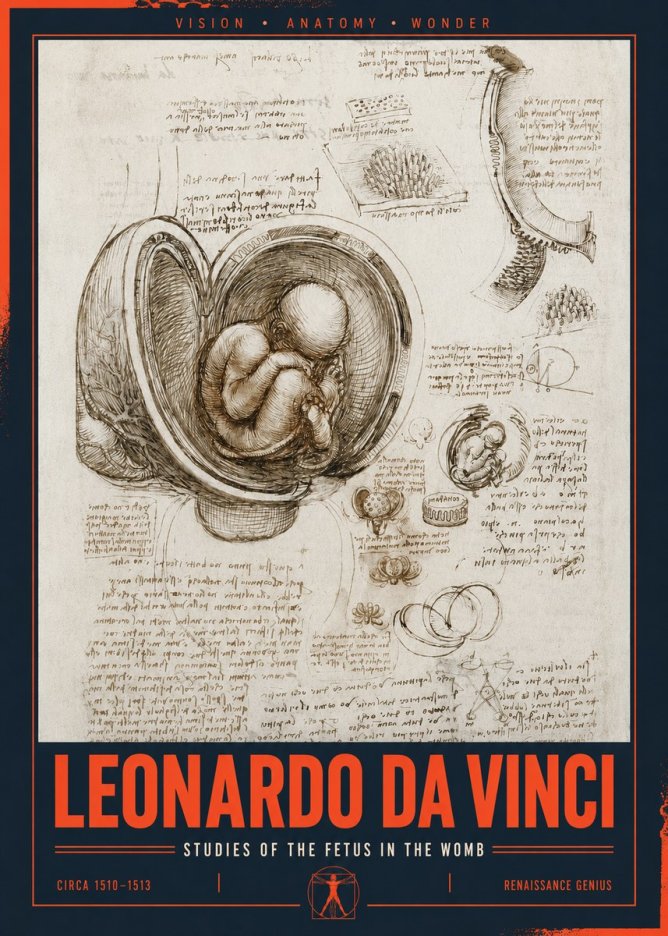 Leonardo da Vinci Studies of the Fetus in the Womb No2 - Póster