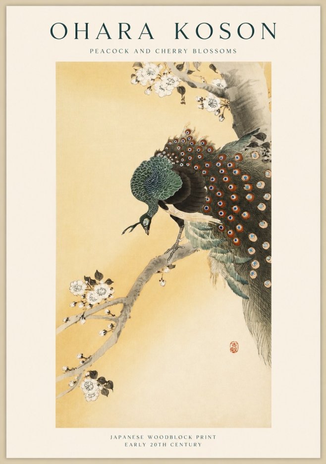 Ohara Koson Peacock and Cherry Blossoms No1 - Póster