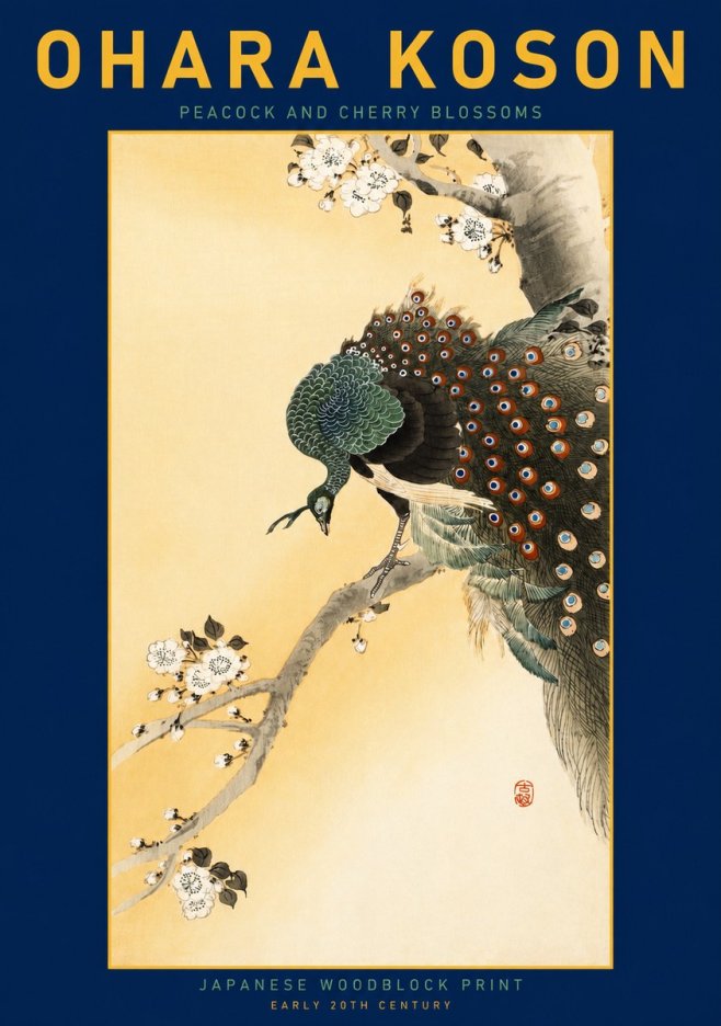 Ohara Koson Peacock and Cherry Blossoms No3 - Póster