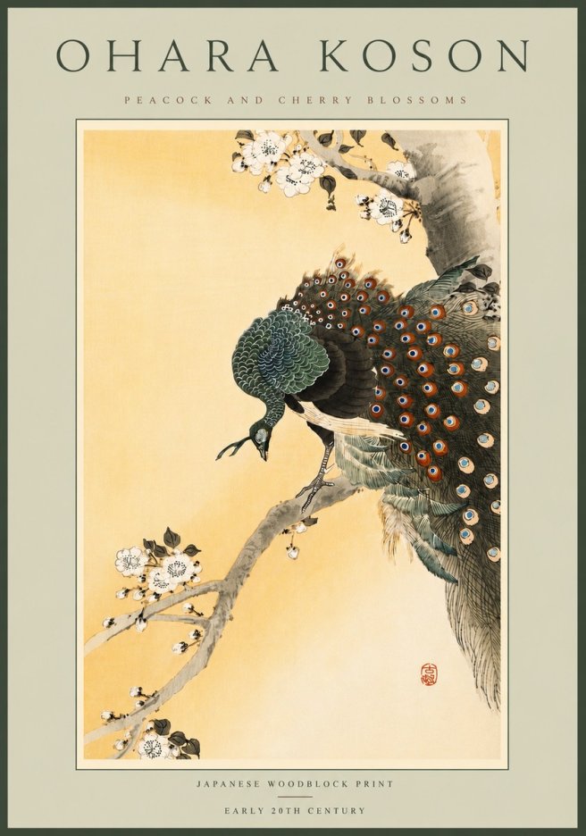 Ohara Koson Peacock and Cherry Blossoms No6 - Póster